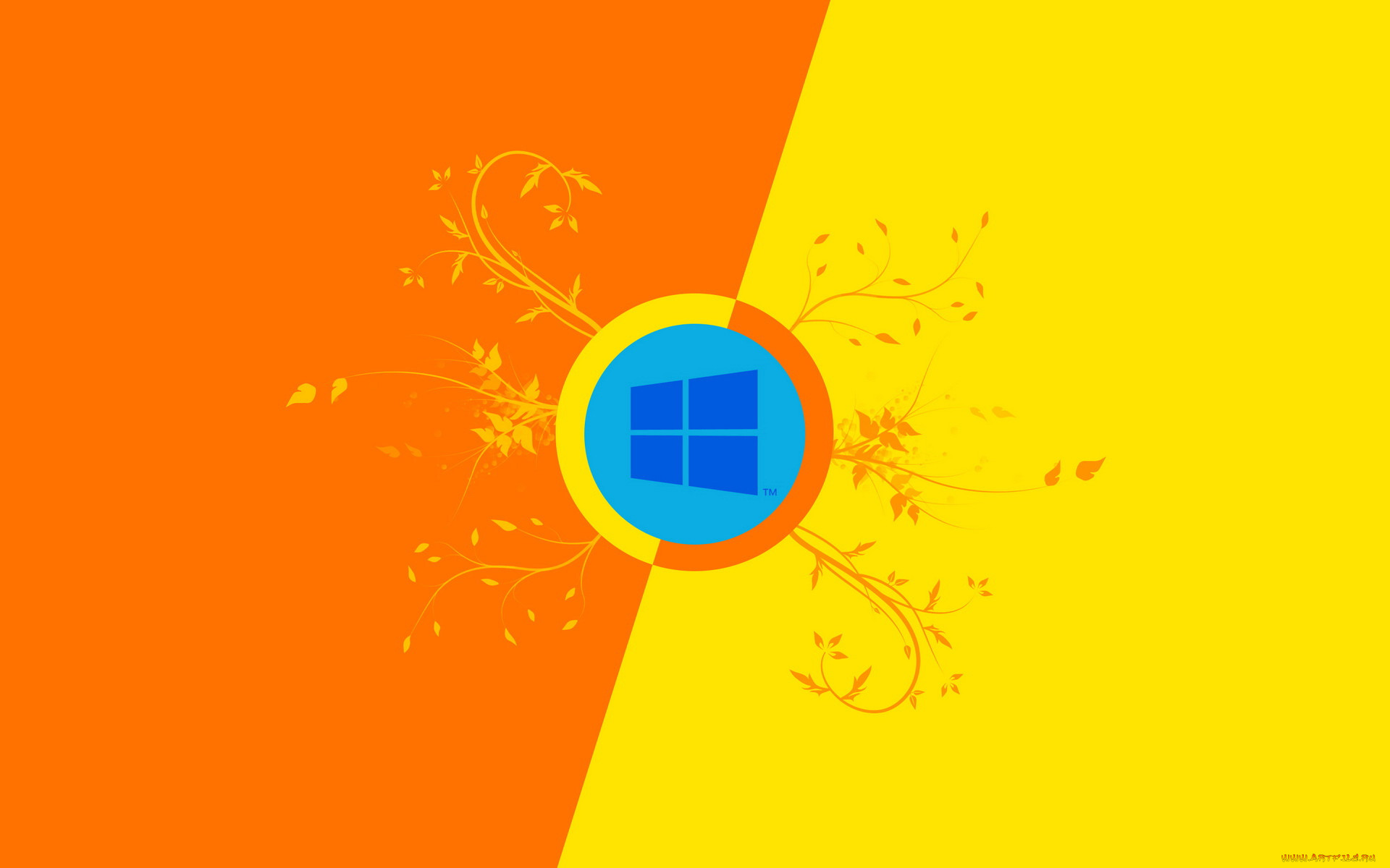, windows, 8